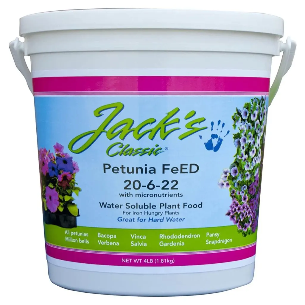 fertilizer for petunias