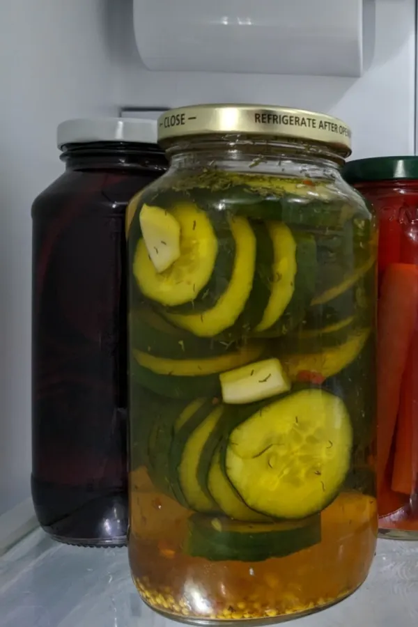 homemade easy dill pickles in the refrigerator