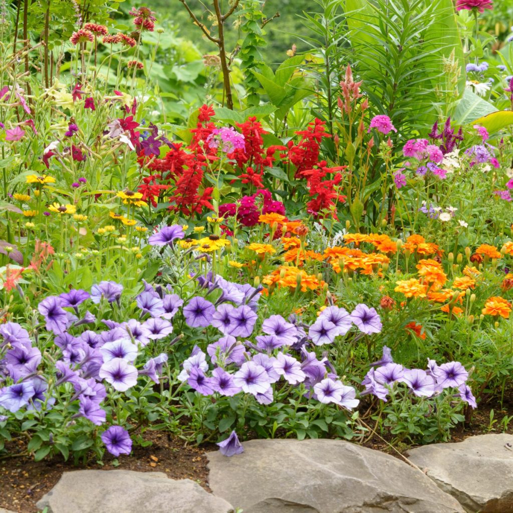 eliminate weeds in flowerbeds