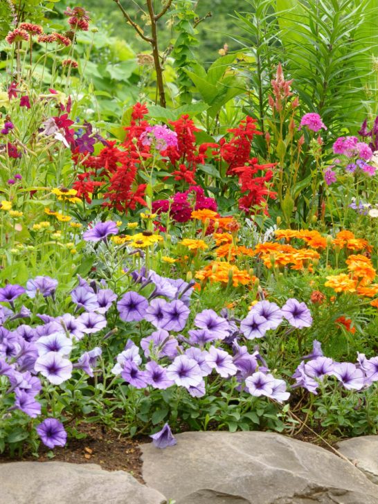 eliminate weeds in flowerbeds