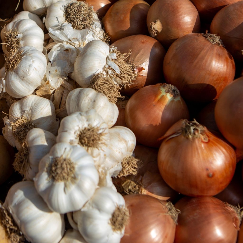 why to plant onions and garlic in the fall