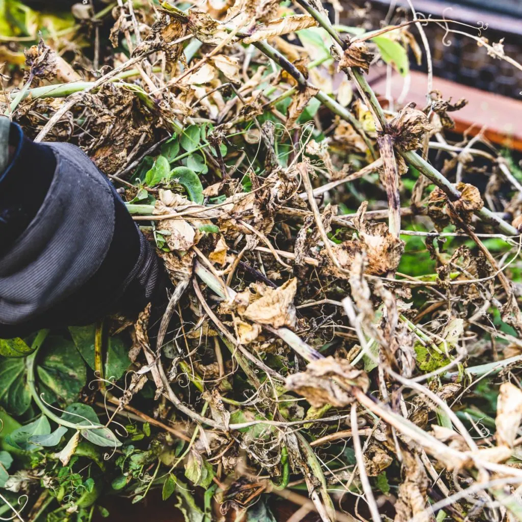 protect raised beds before winter