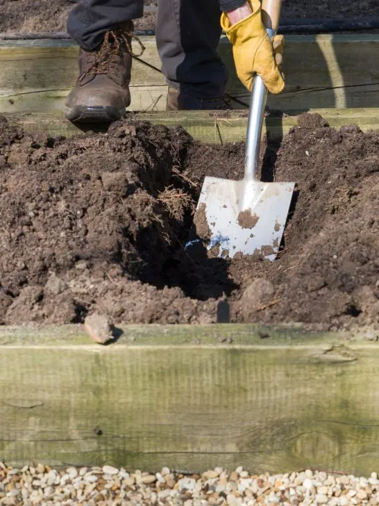 prepare raised beds for winter