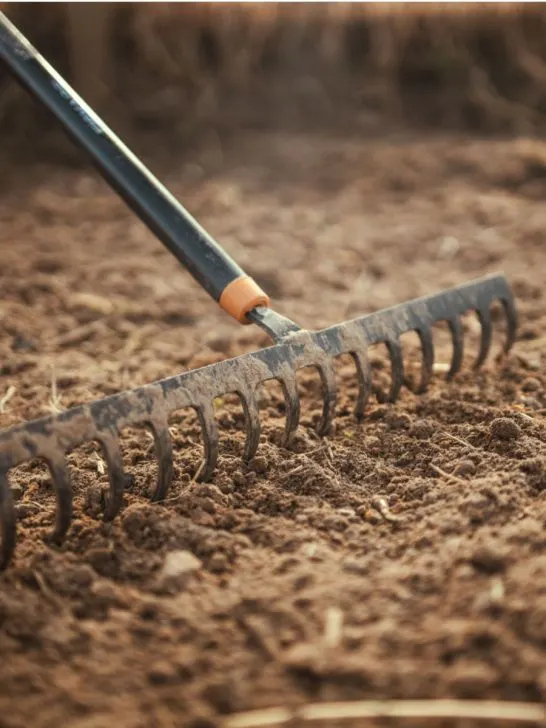 recharge garden soil in the fall