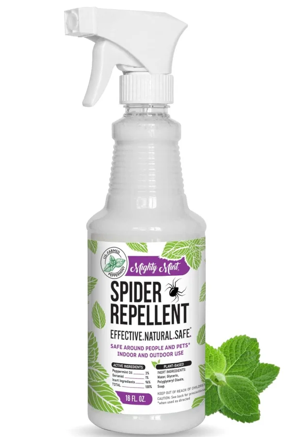 mint spray - stop spiders from getting inside