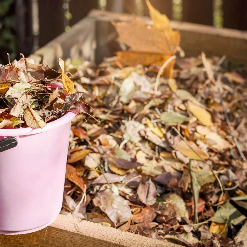 turn leaves into compost