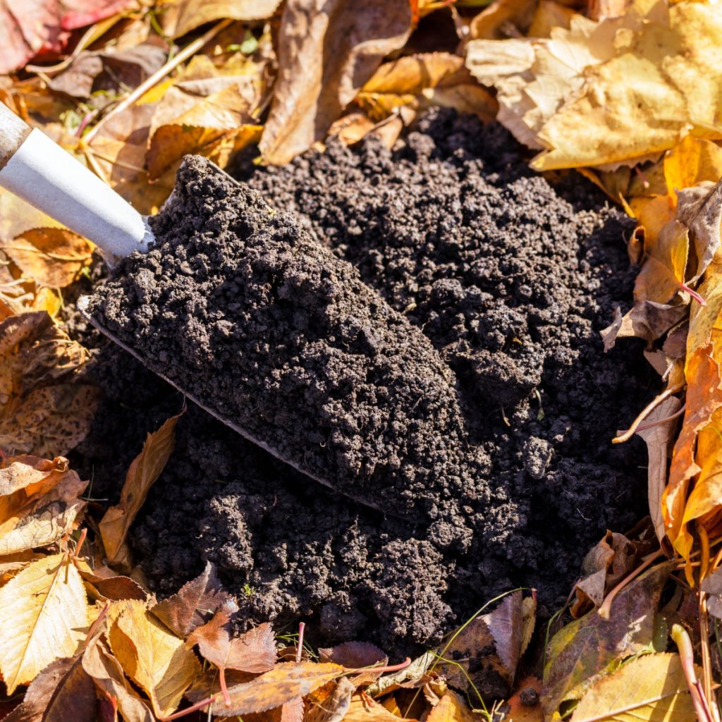 use leaves in flowerbeds and garden