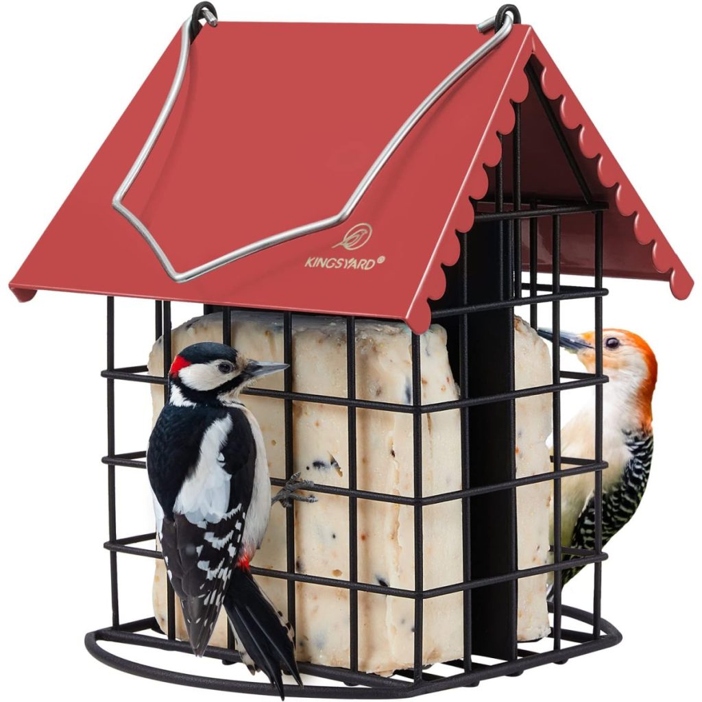 suet feeder