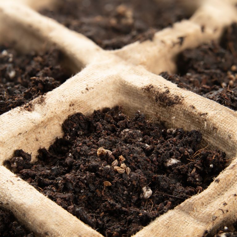 seed starting soil