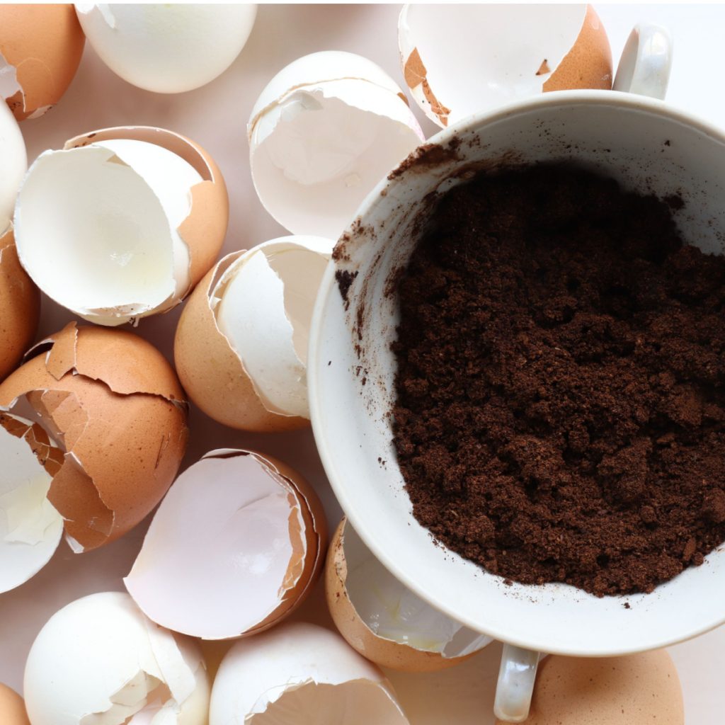 save and store coffee grounds and egg shells