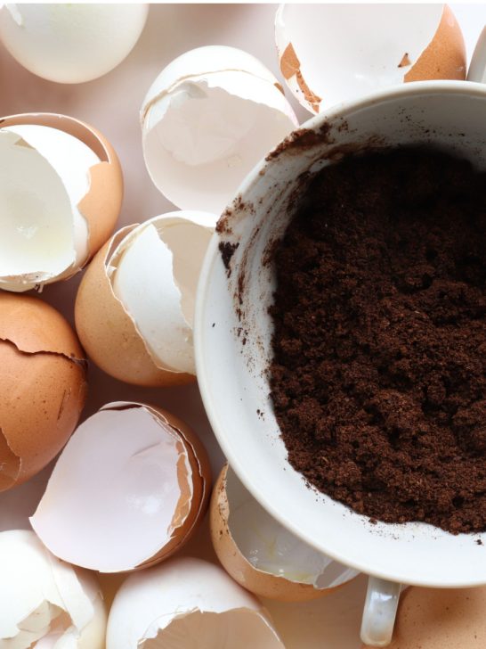 save and store coffee grounds and egg shells