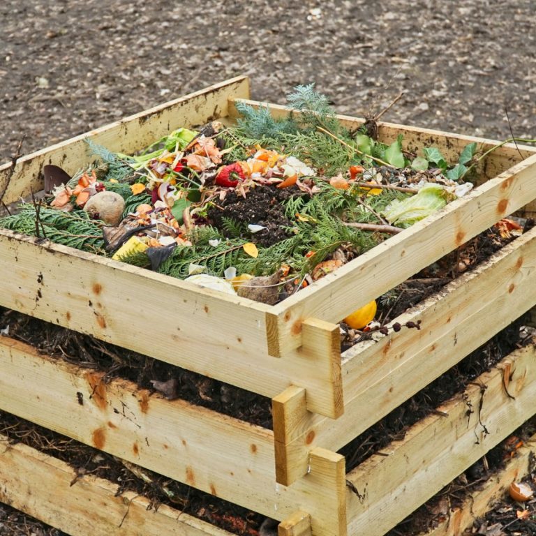 compost pile in the spring