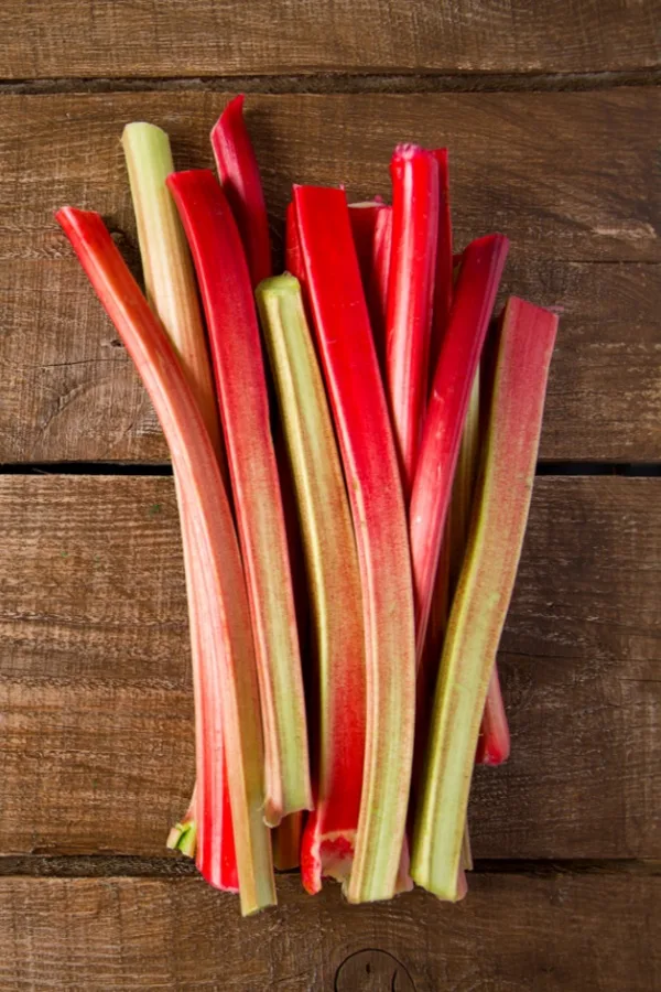 harvest rhubarb