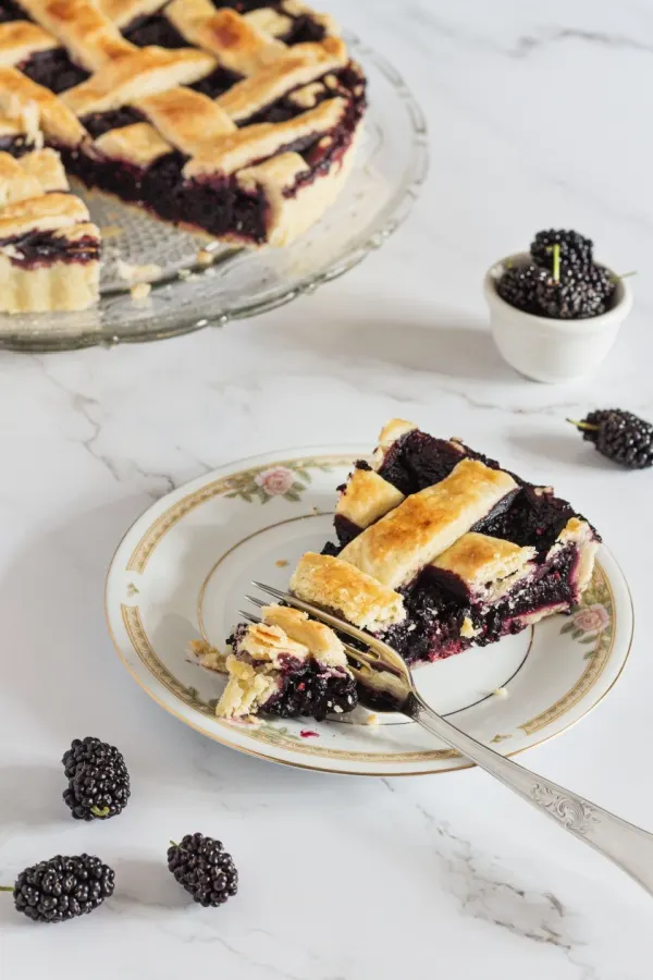 pie on plate with fork to take a bite
