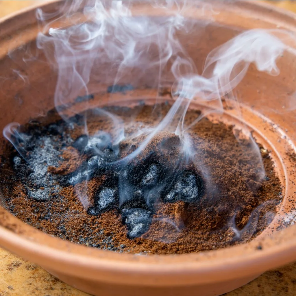 keep mosquitoes away with coffee grounds