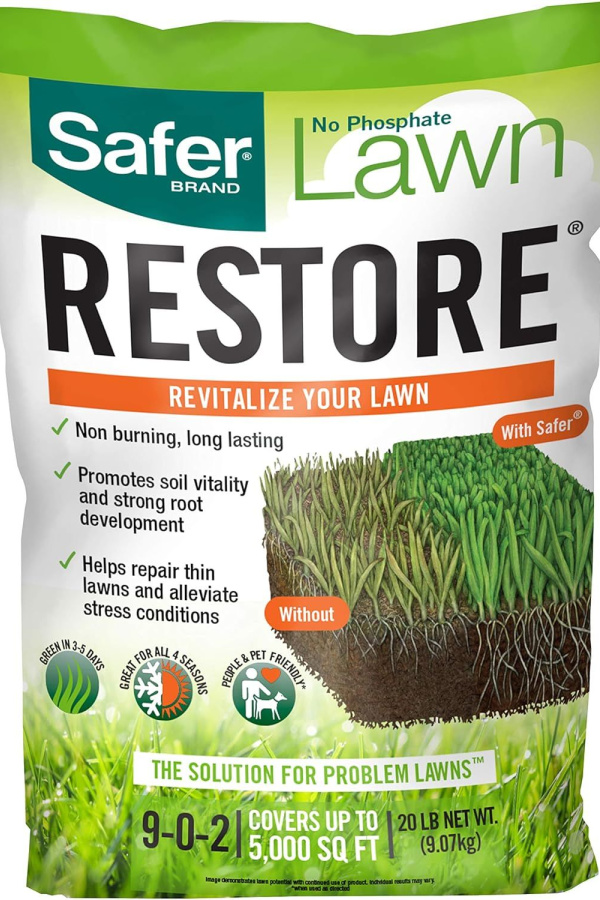 bring your lawn back to life in fall
