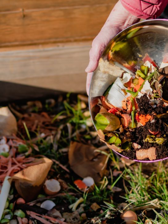 gardeners fall compost mistake