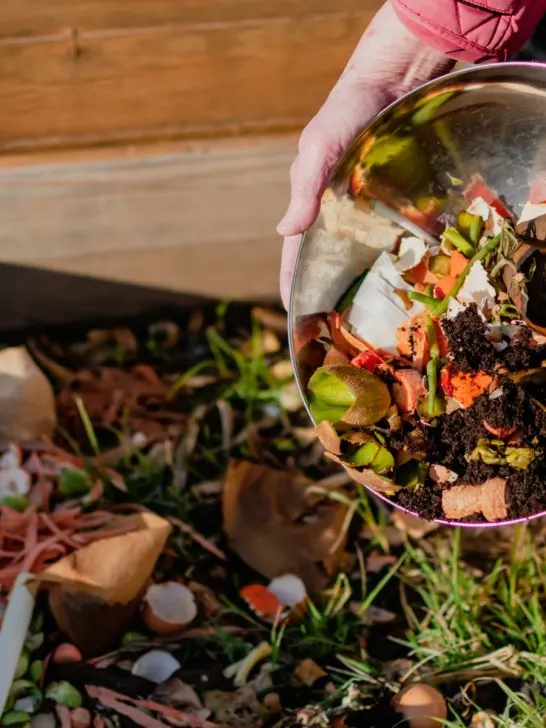 gardeners fall compost mistake