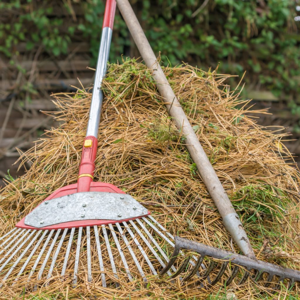 best ways to use pine needles as mulch