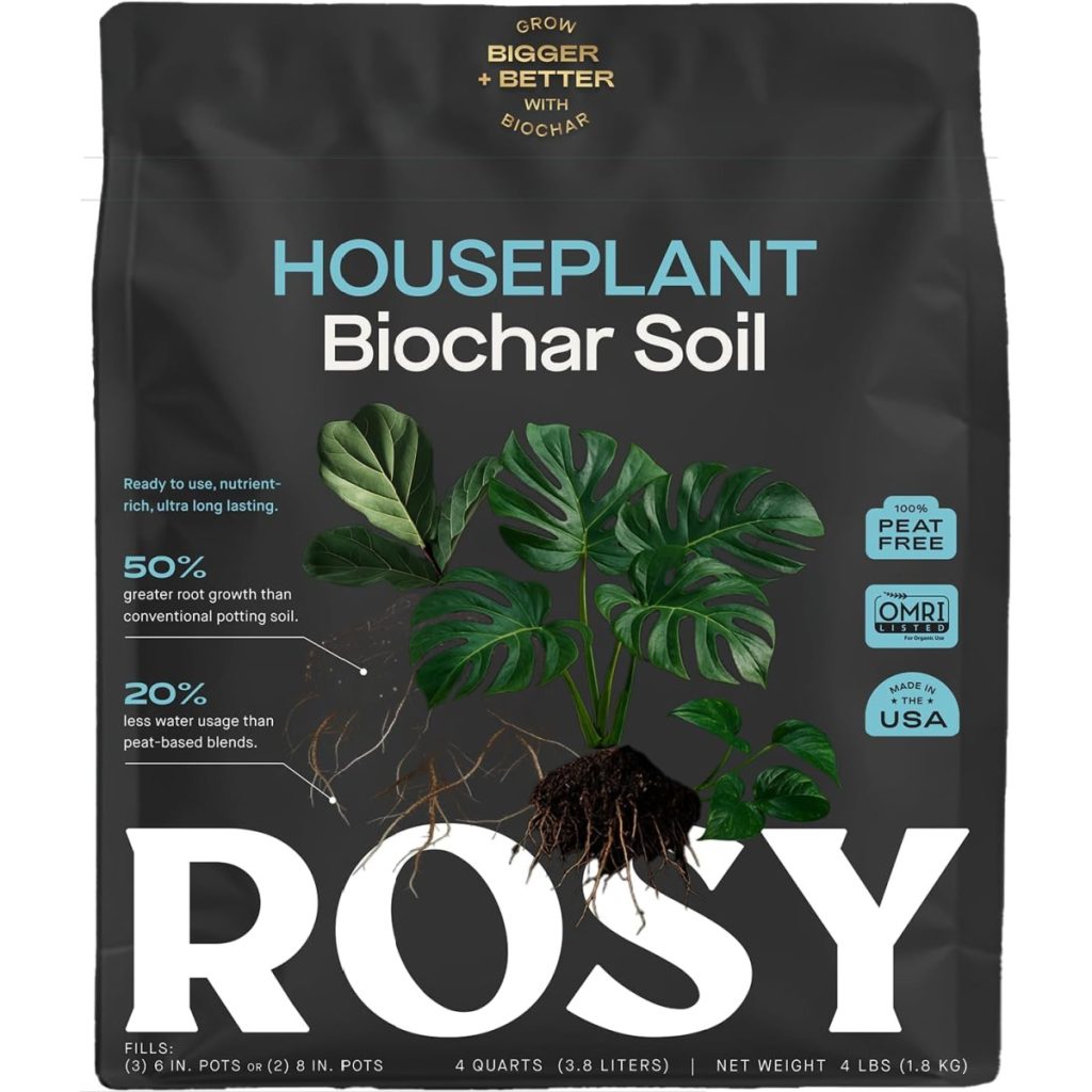 houseplant soil