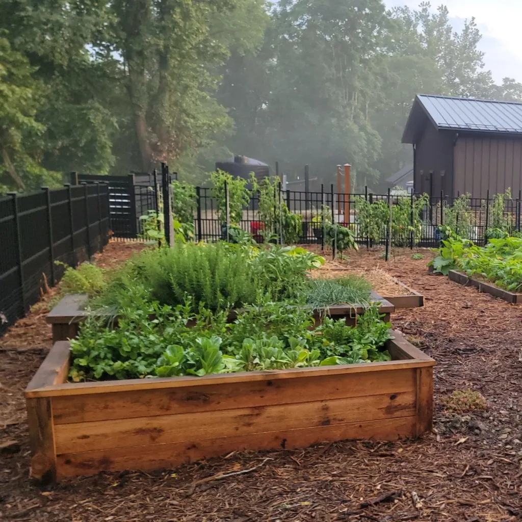 build raised beds that last