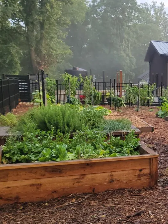 build raised beds that last