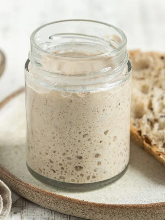 sourdough starter