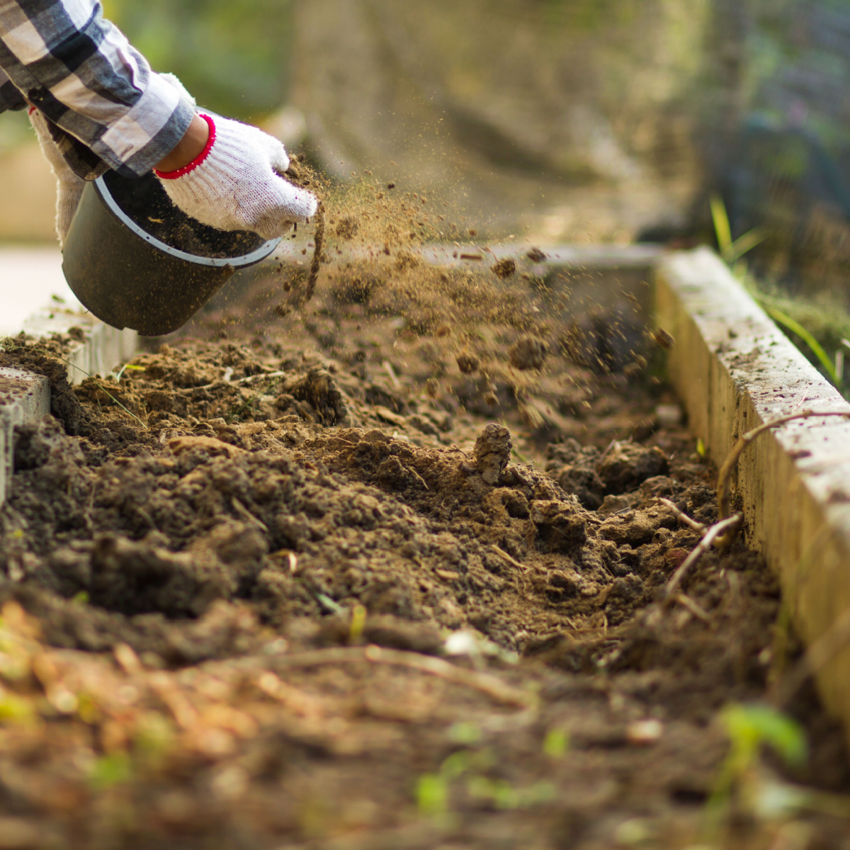add to raised beds in the winter
