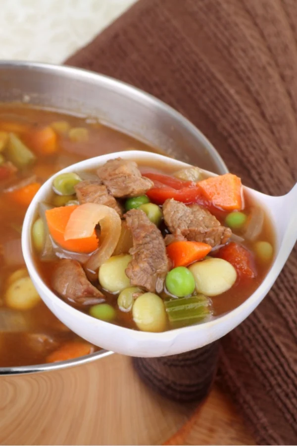 beef vegetable soup