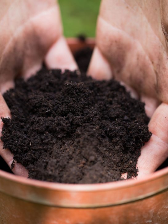 perfect potting soil mix for hanging baskets