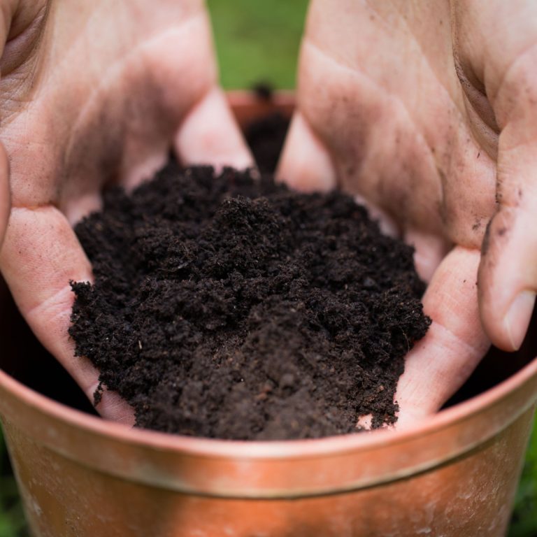 perfect potting soil mix for hanging baskets