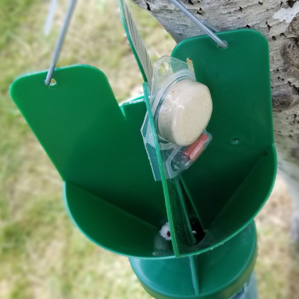 Japanese beetle trap